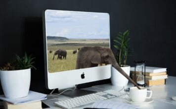 Komponowanie muzyki z pomocą sieci neuronowych — eksperyment domowy