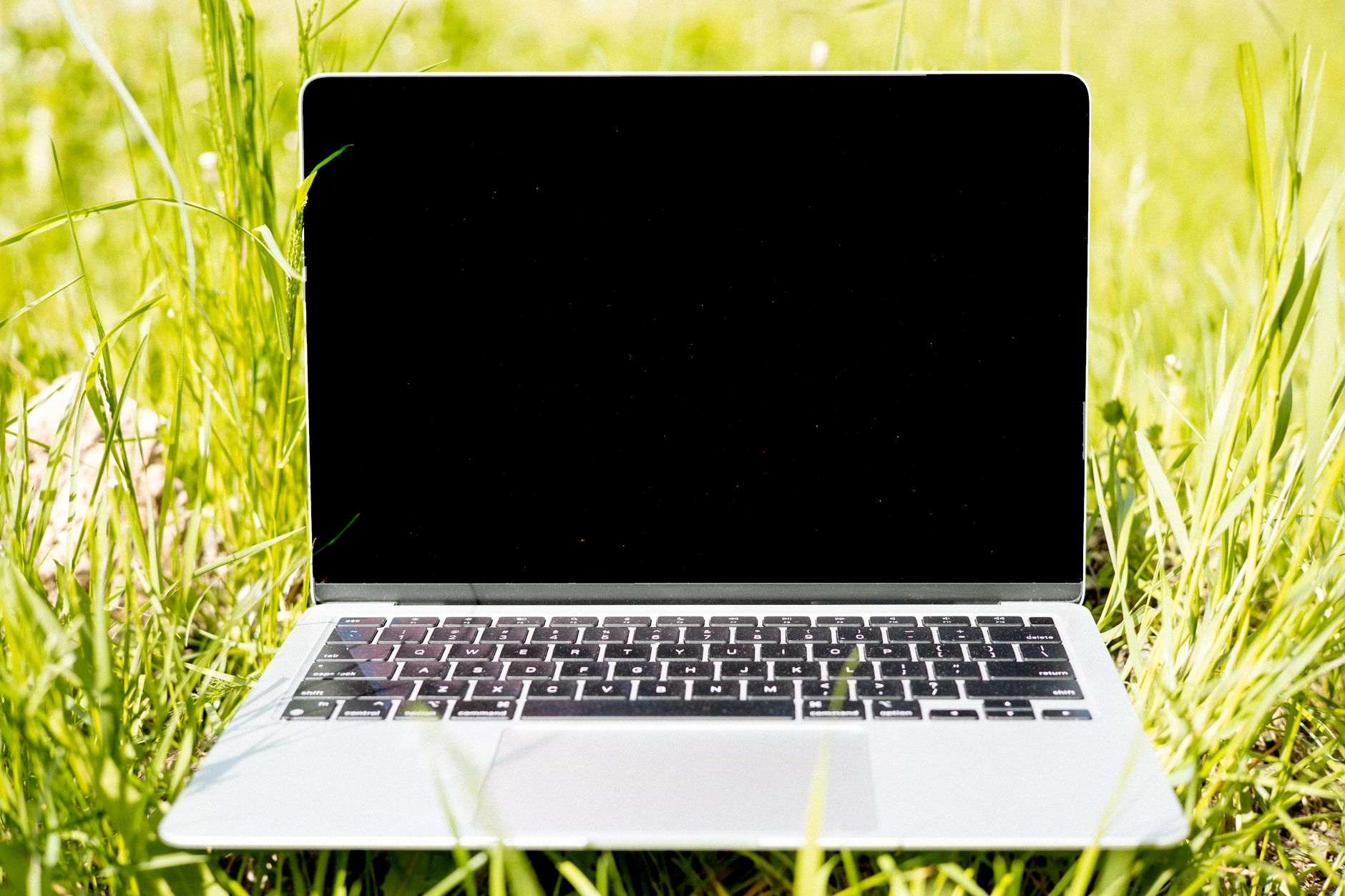 Laptop na zielonej trawie w słońcu, symbol pracy zdalnej offline